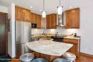 725 E Main St, Aspen, CO 81611 - Photo 7