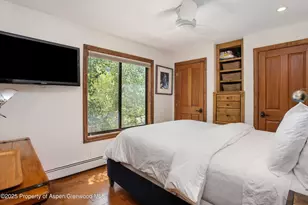 725 E Main St, Aspen, CO 81611 - Photo 9