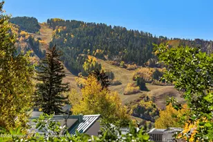 725 E Main St, Aspen, CO 81611 - Photo 5