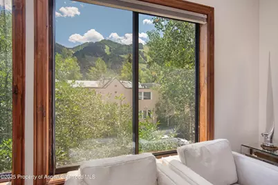 725 E Main Street #309, Aspen, CO 81611 - Photo 3