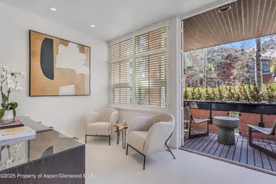 708 E Hyman Avenue, Aspen, CO 81611 - Photo 29