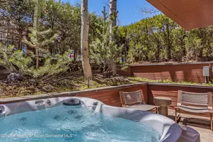 708 E Hyman Ave, Aspen, CO 81611 - Photo 41