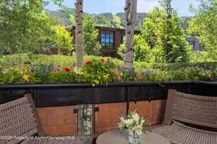 708 E Hyman Ave, Aspen, CO 81611 - Photo 21