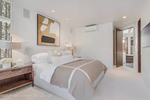 708 E Hyman Ave, Aspen, CO 81611 - Photo 27