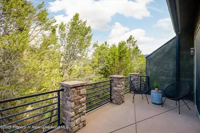 302 Wild Spring Lane, Basalt, CO 81621 - Photo 23