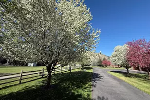 495 Co Rd 167, Glenwood Springs, CO 81601 - Photo 5