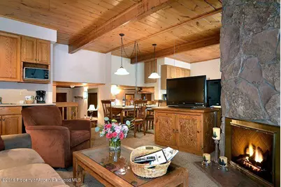 301 E Hyman Avenue #106 (Wks. 3,33,47), Aspen, CO 81611 - Photo 15