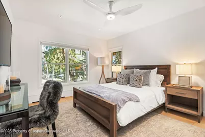 929 E E Durant Avenue Avenue #4, Aspen, CO 81611 - Photo 27