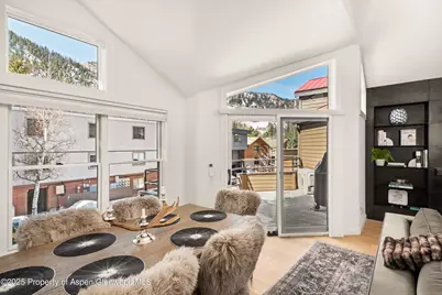 929 E E Durant Avenue Avenue #4, Aspen, CO 81611 - Photo 11