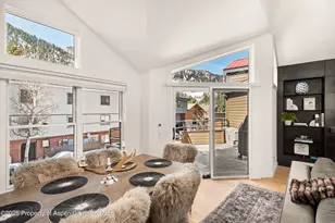 929 E E Durant Ave Ave, Aspen, CO 81611 - Photo 11