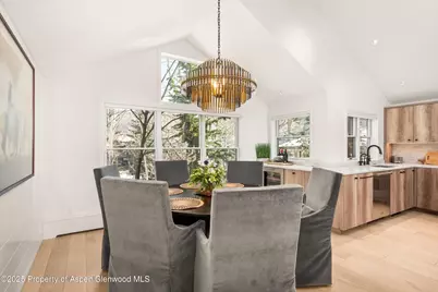 929 E E Durant Avenue Avenue #4, Aspen, CO 81611 - Photo 17