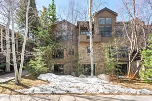 929 E E Durant Ave Ave, Aspen, CO 81611 - Photo 39