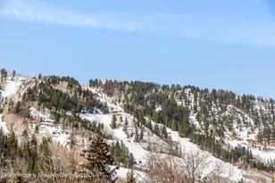 929 E E Durant Ave Ave, Aspen, CO 81611 - Photo 43