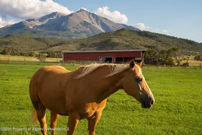1644 Prince Creek Road, Carbondale, CO 81623 - Photo 73