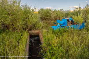 1644 Prince Creek Rd, Carbondale, CO 81623 - Photo 45