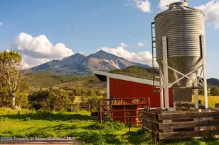 1644 Prince Creek Rd, Carbondale, CO 81623 - Photo 9