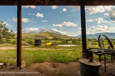 1644 Prince Creek Road, Carbondale, CO 81623 - Photo 65