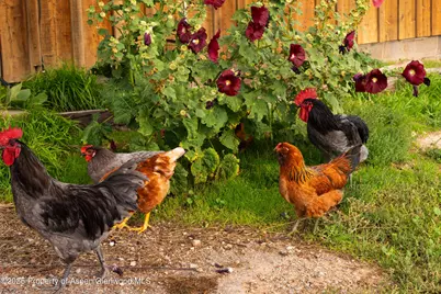 1644 Prince Creek Road, Carbondale, CO 81623 - Photo 15