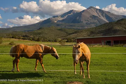 1644 Prince Creek Road, Carbondale, CO 81623 - Photo 17