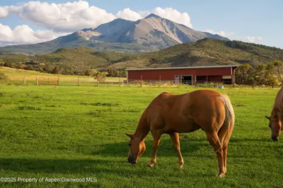 1644 Prince Creek Road, Carbondale, CO 81623 - Photo 23