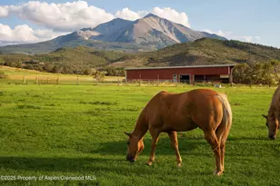 1644 Prince Creek Rd, Carbondale, CO 81623 - Photo 23