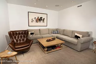 1018 E Hyman Ave, Aspen, CO 81611 - Photo 25