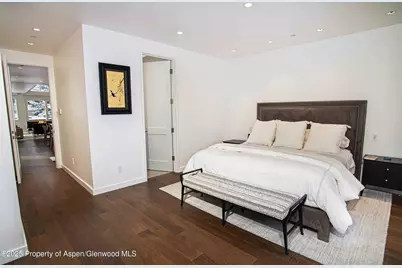 1018 E Hyman Avenue #Unit 1, Aspen, CO 81611 - Photo 7