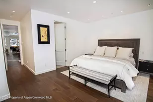 1018 E Hyman Ave, Aspen, CO 81611 - Photo 7