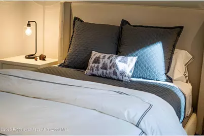 1018 E Hyman Avenue #Unit 1, Aspen, CO 81611 - Photo 23