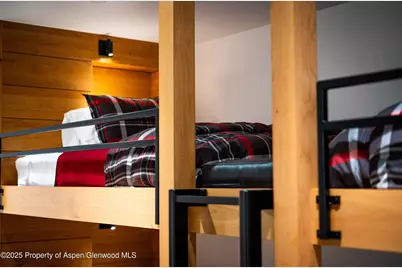 1018 E Hyman Avenue #Unit 1, Aspen, CO 81611 - Photo 19