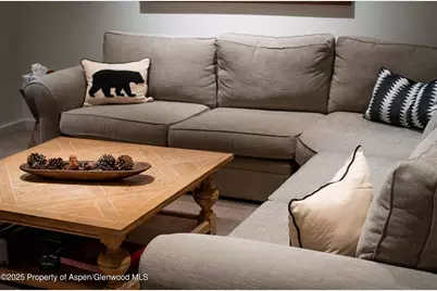 1018 E Hyman Avenue #Unit 1, Aspen, CO 81611 - Photo 21