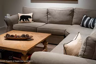 1018 E Hyman Ave, Aspen, CO 81611 - Photo 21