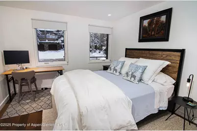 1018 E Hyman Avenue #Unit 1, Aspen, CO 81611 - Photo 15