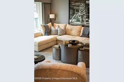 555 E Durant Avenue #3C, Aspen, CO 81611 - Photo 5