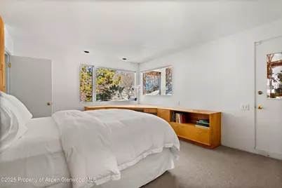 260 Star Mesa Road, Aspen, CO 81611 - Photo 17