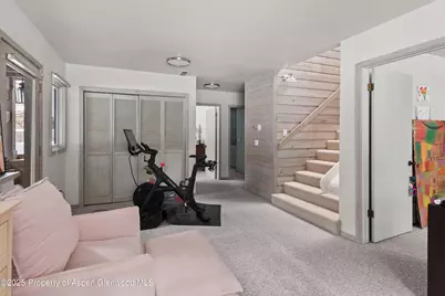 645 Sneaky Lane, Aspen, CO 81611 - Photo 23