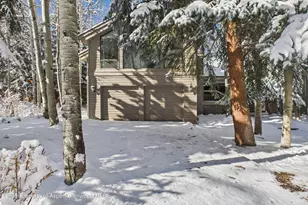 645 Sneaky Ln, Aspen, CO 81611 - Photo 1