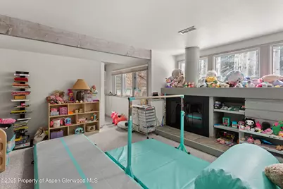 645 Sneaky Lane, Aspen, CO 81611 - Photo 19