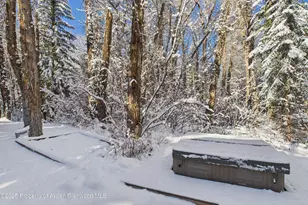 645 Sneaky Ln, Aspen, CO 81611 - Photo 13