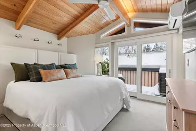720 W Hopkins Avenue #Unit D, Aspen, CO 81611 - Photo 7