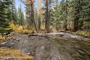 9676 Castle Creek Rd, Aspen, CO 81611 - Photo 7