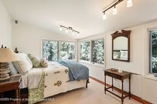 9676 Castle Creek Rd, Aspen, CO 81611 - Photo 19