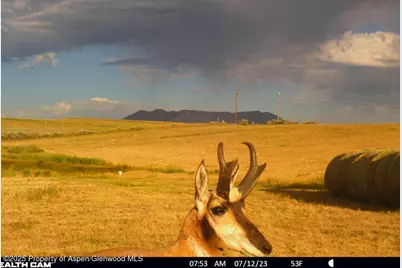 1210 County Road 103, Craig, CO 81625 - Photo 107