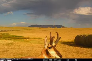 1210 County Rd 103, Craig, CO 81625 - Photo 107