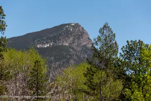 108 Prospector Trl, Marble, CO 81623 - Photo 63