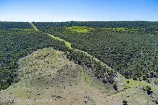 10444 Co Rd 320, Rifle, CO 81650 - Photo 41