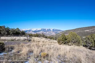 10444 Co Rd 320, Rifle, CO 81650 - Photo 29