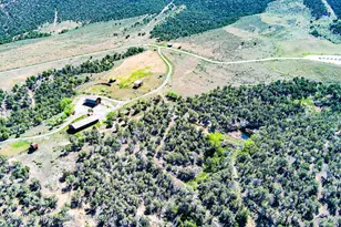 10444 Co Rd 320, Rifle, CO 81650 - Photo 45