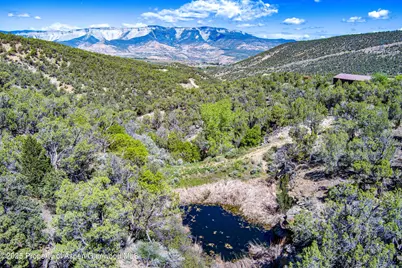 10444 County Road 320, Rifle, CO 81650 - Photo 7