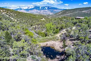 10444 Co Rd 320, Rifle, CO 81650 - Photo 7
